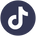 Tiktok icon